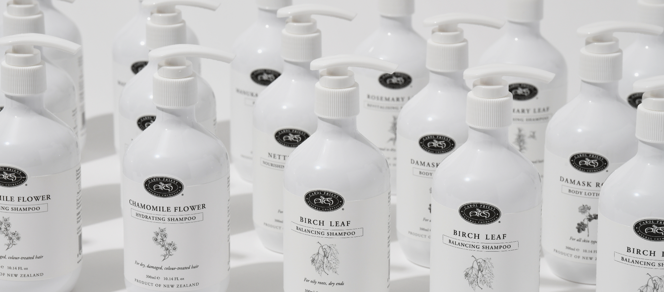 Reformulated Shampoos | What's New?