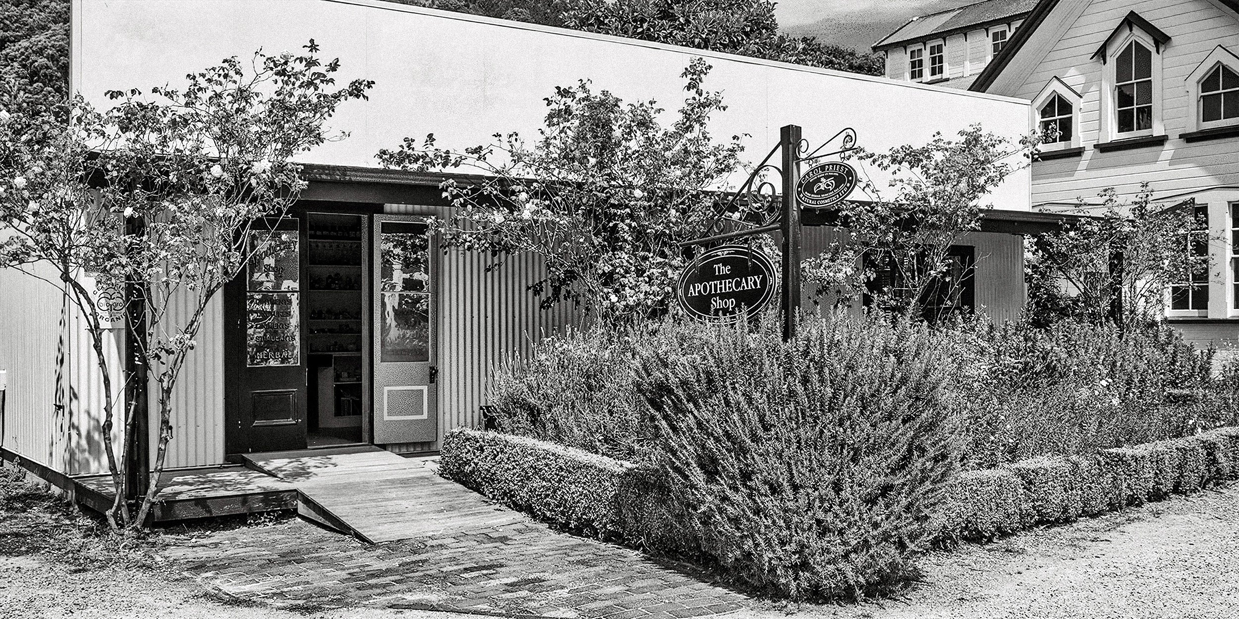 Dispatch a christmas carol rewards code