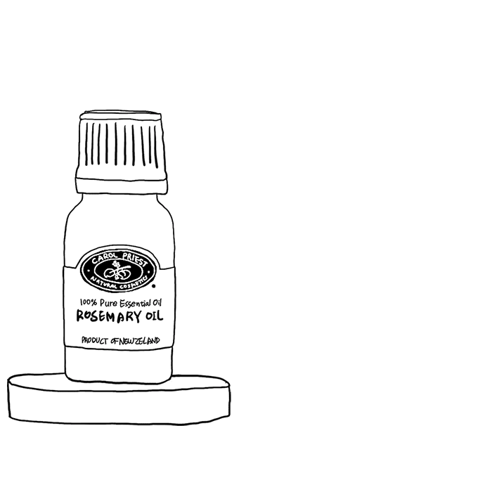 carol priest illustration of rosemary essential oil